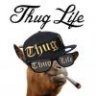 Thug_Life